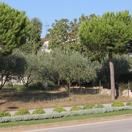 Apartments And Rooms With Parking Space Rovinj - 7170 Luaran gambar